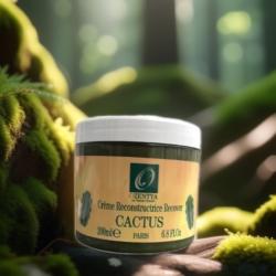 24 crèmes cactus Ozentya