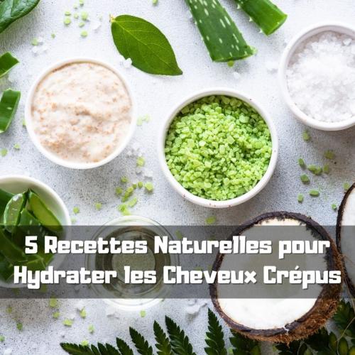 5 Recettes Naturelles pour Hydrater les Cheveux Crépus