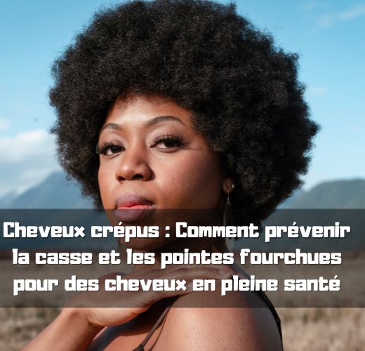 Cheveux crpus : Comment prvenir la casse et les pointes fourchues pour des cheveux en pleine sant