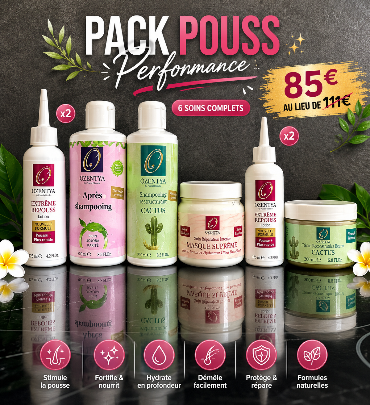 Pack Pouss Performance Ozentya – 85 eu sur le site / 75 eu au Dépôt : Booster de Pousse & Réparation des Tempes 